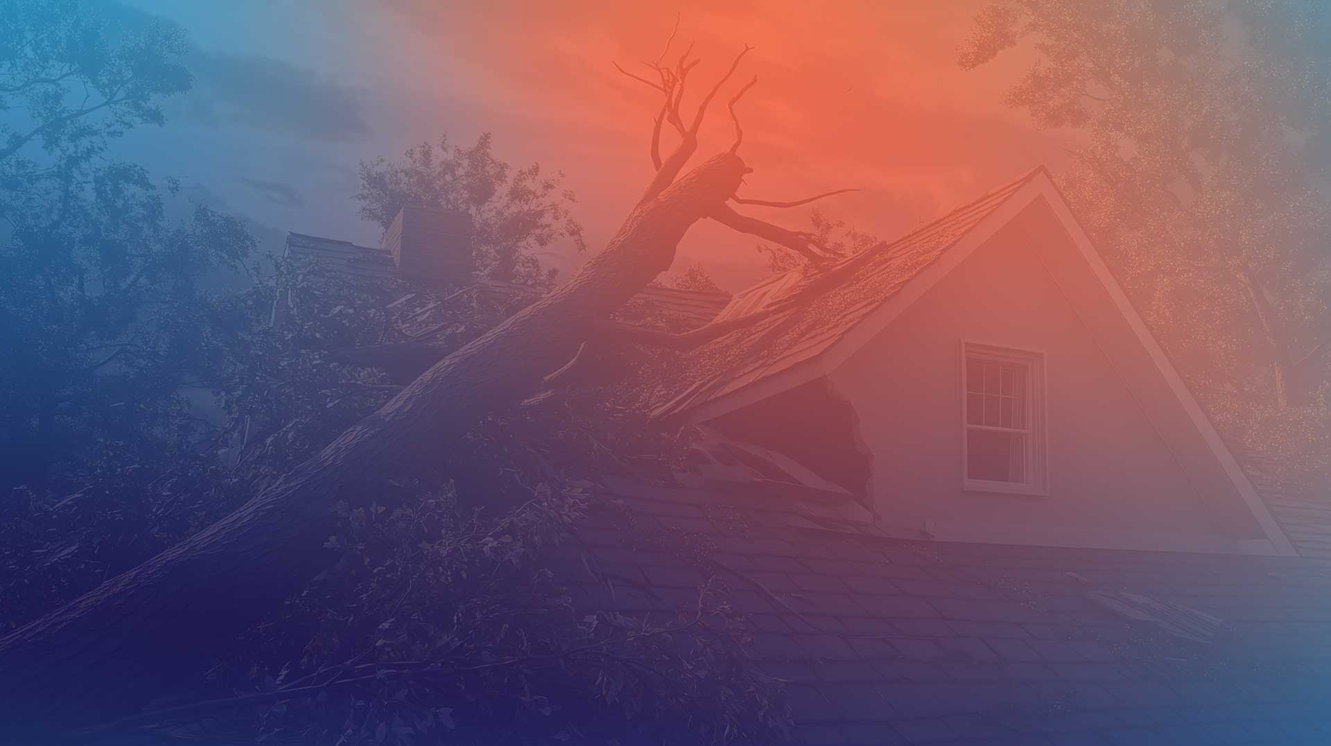 Fire and water restoration services